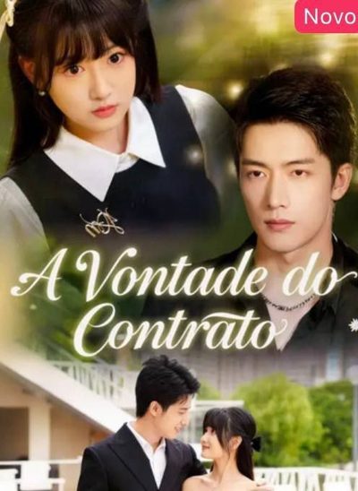A Vontade do Contrato