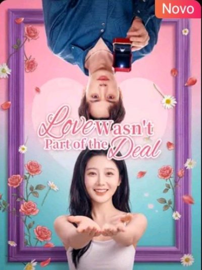 Amor Não Estava no Acordo