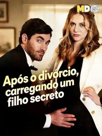 Após o Divórcio, Carregando Um Filho Secreto