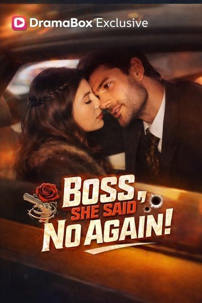 Boss She Said no Again Chefe, Ela Disse Não de Novo