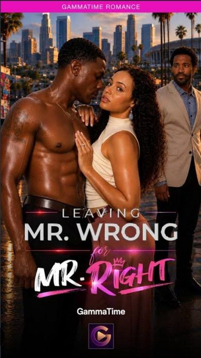 DEIXANDO O SR. ERRADO PARA FICAR COM O SR. CERTO LEAVING MR. WRONG FOR MR. RIGHT Legenda exclusiva
