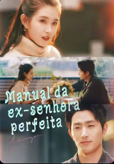 Manual da Ex-senhora Perfeita