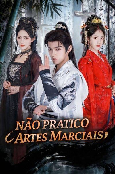 Não Pratico Artes Marciais