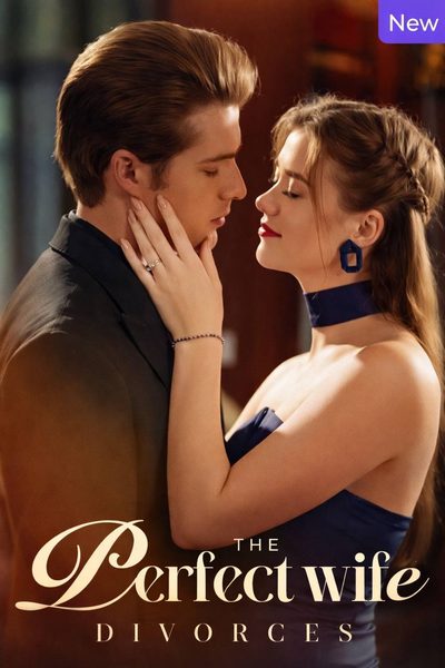 O Divórcio da Esposa Perfeita Legendado