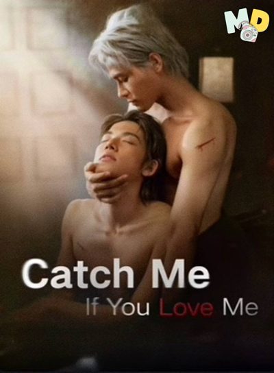 O Rato Se Apaixonou Pelo Gato - Catch Me If You Love Me