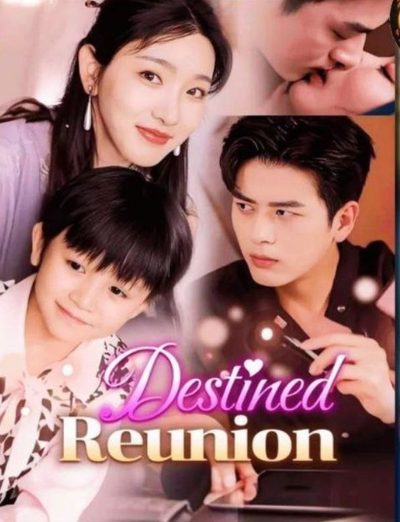 Reunião do Destino Destined Reunion
