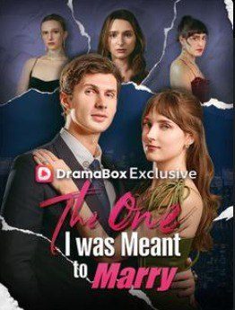 The One I Was Meant To Marry a Pessoa com Quem Eu Deveria Me Casar